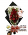 HAND BOUQUET MURAH SURABAYA GRATIS ONGKIR – Gleriflorist.com